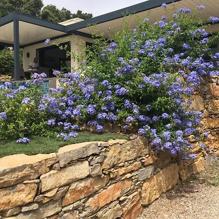 L'hippocampe Bed & Breakfast
